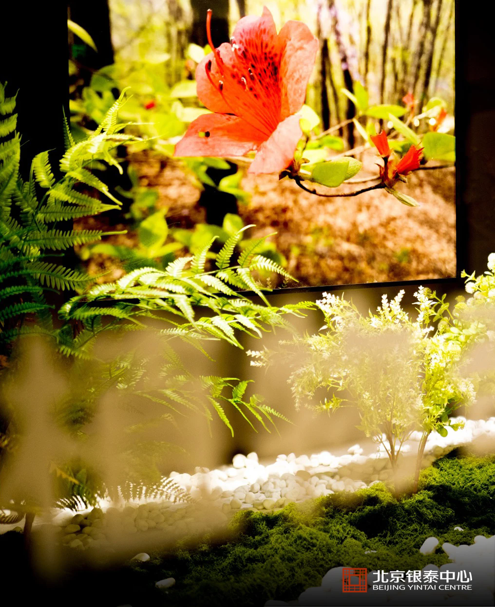 6a59c7cf340e7.png 0.webp (2).png